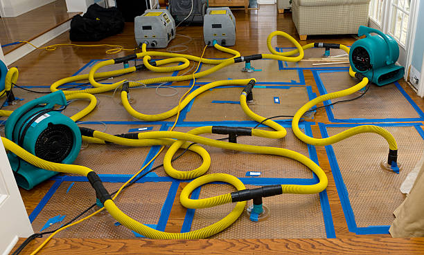 Professional Basement Flood Cleanup technician working in Grafton, NY